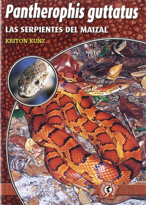 PANTHEROPHIS GUTTATUS: LAS SERPIENTES DEL MAIZAL