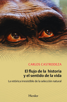 EL FLUJO DE LA HISTORIA Y EL SENTIDO DE LA VIDA