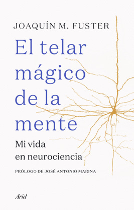 TELAR MÁGICO DE LA MENTE, EL