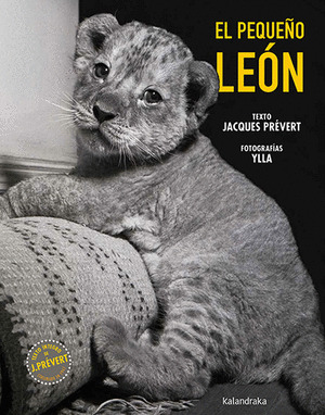 PEQUEÑO LEÓN, EL