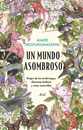 MUNDO ASOMBROSO, UN