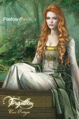 FORGOTTEN POSTCARD BOOK 1