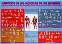 PROGRAMAS Y CONTENIDOS EDUC.FISIC