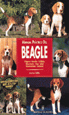 BEAGLE MANUAL PRACTICO