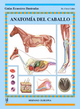 ANATOMIA DEL CABALLO