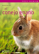CONEJO ENANO, EL (PREMIUM)