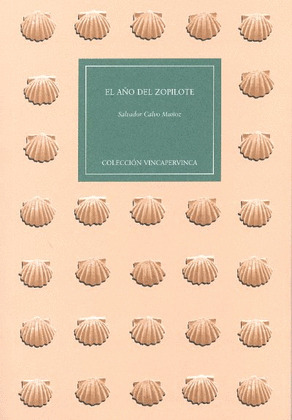 EL AÑO DEL ZOPILOTE.