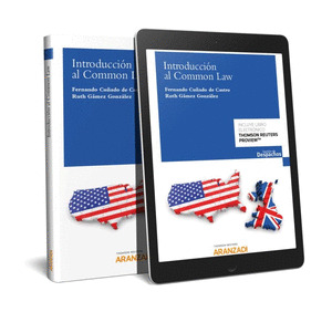 INTRODUCCION AL COMMON LAW (PAPEL + E-BOOK)
