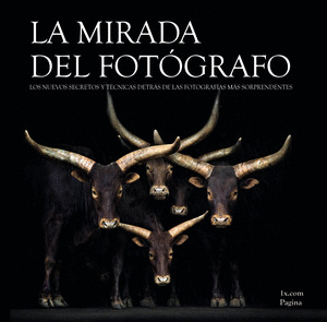 MIRADA DEL FOTÓGRAFO, LA