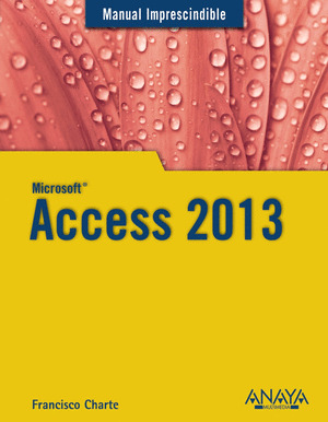 ACCESS 2013. MANUAL IMPRESCINDIBLE