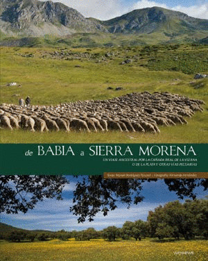 DE BABIA A SIERRA MORENA.  UN VIAJE ANCESTRAL POR LA CAÑADA REAL DE LA VIZANA O