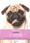 EL CARLINO ­DESCUBRELO!