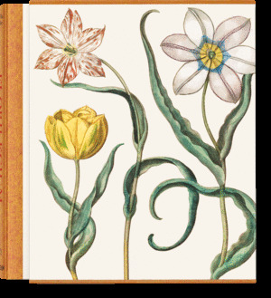 BESLER. THE GARDEN AT EICHSTÄTT