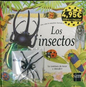 LOS INSECTOS+ARAÑA