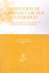 PROTECCION DE LAS PERSONAS Y GRUPOS VULNERABLES EN EL DERECHO PENAL
