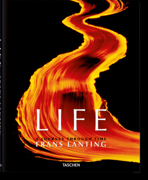 LIFE. A JOURNEY THROUGH TIME