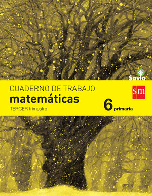 CUADERNO MATEMATICAS 3. 6º PRIMARIA. SAVIA (2015)