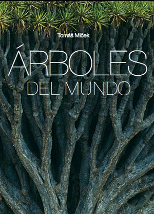 ÁRBOLES DEL MUNDO