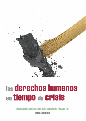 DERECHOS HUMANOS EN TIEMPO CRISIS