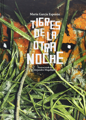 TIGRES OTRA NOCHE