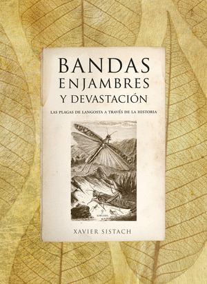 BANDAS, ENJAMBRES Y DEVASTACION