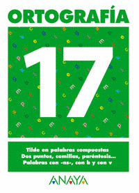 ORTOGRAFIA 17.