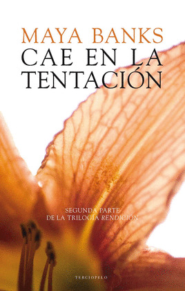 CAE EN LA TENTACION (LIMITED)