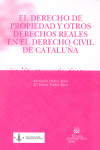 DERECHO PROPIEDAD Y OTROS DERECHOS REALES EN EL DERECHO CIVIL DE CATALUÑA, EL