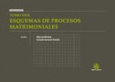 TOMO XXIX ESQUEMAS DE PROCESOS MATRIMONIALES