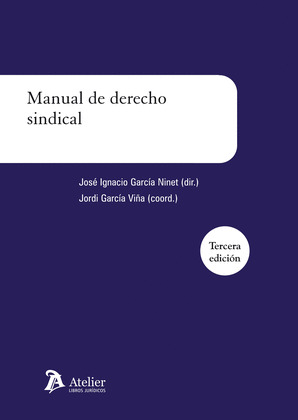 MANUAL DE DERECHO SINDICAL (3ª EDICION, 2011)