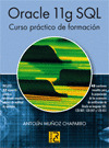 ORACLE 11G SQL