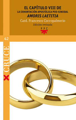 EL CAPITULO VIII DE LA EXHORTACION APOST