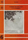 FUXIDA NO SOLPOR E 12 POEMAS