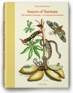 INSECTS OF SURINAM-INT.