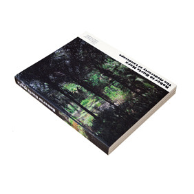 ROBERTO BURLE MARX THE MODERNITY OF LANDSCAPE