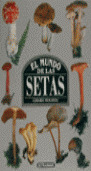 MUNDO DE LAS SETAS