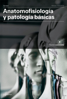 ANATOMOFISIOLOGIA Y PATOLOGIAS BASICAS CICLOS FORMATIVOS 19