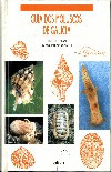 GUIA DOS MOLUSCOS DE GALICIA
