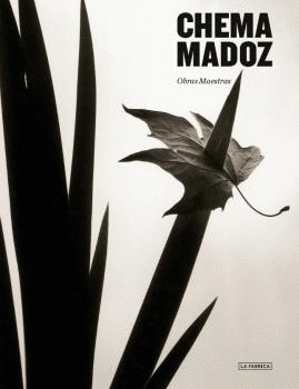 OBRAS MAESTRAS. CHEMA MADOZ (SEXTA EDICIÓN)