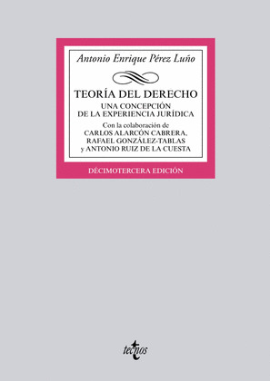 TEORÍA DEL DERECHO (13ª EDICIÓN, 2014)