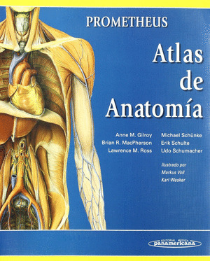 ANATOMIA
